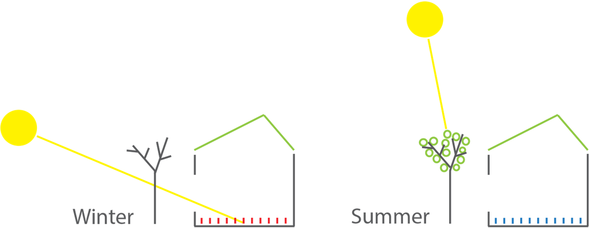 Illustration of passive solar designe passif démontrant l'angle des rayons du soleil en hiver et en été et l'impact sur le projet La Mésange du côté sud