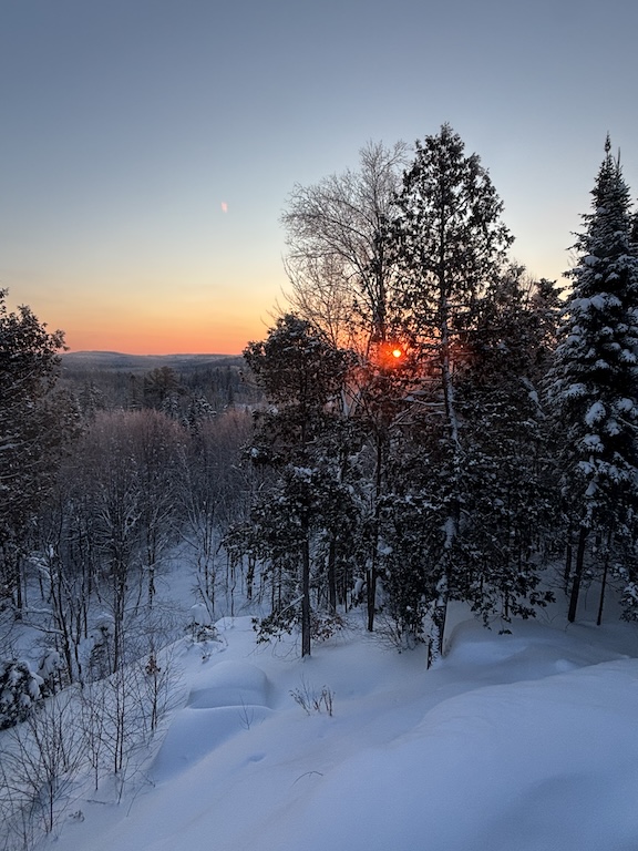 Lever de soleil à travers une forêt de feuillus et sapins enneigés